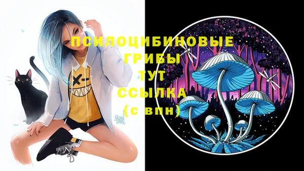 ешки Баксан