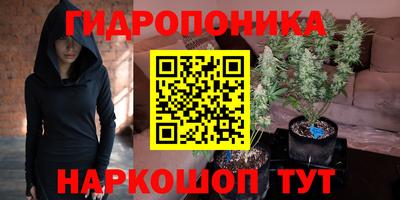 СК Мариинск