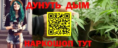 индика Можайск
