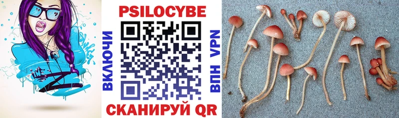 Галлюциногенные грибы MAGIC MUSHROOMS  Борисоглебск 