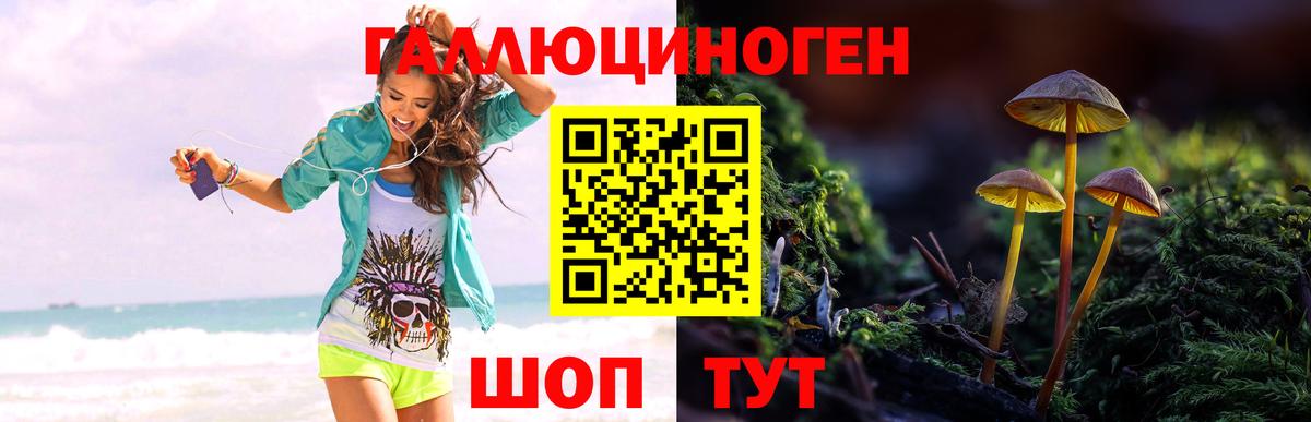 Галлюциногенные грибы Psilocybe Борисоглебск
